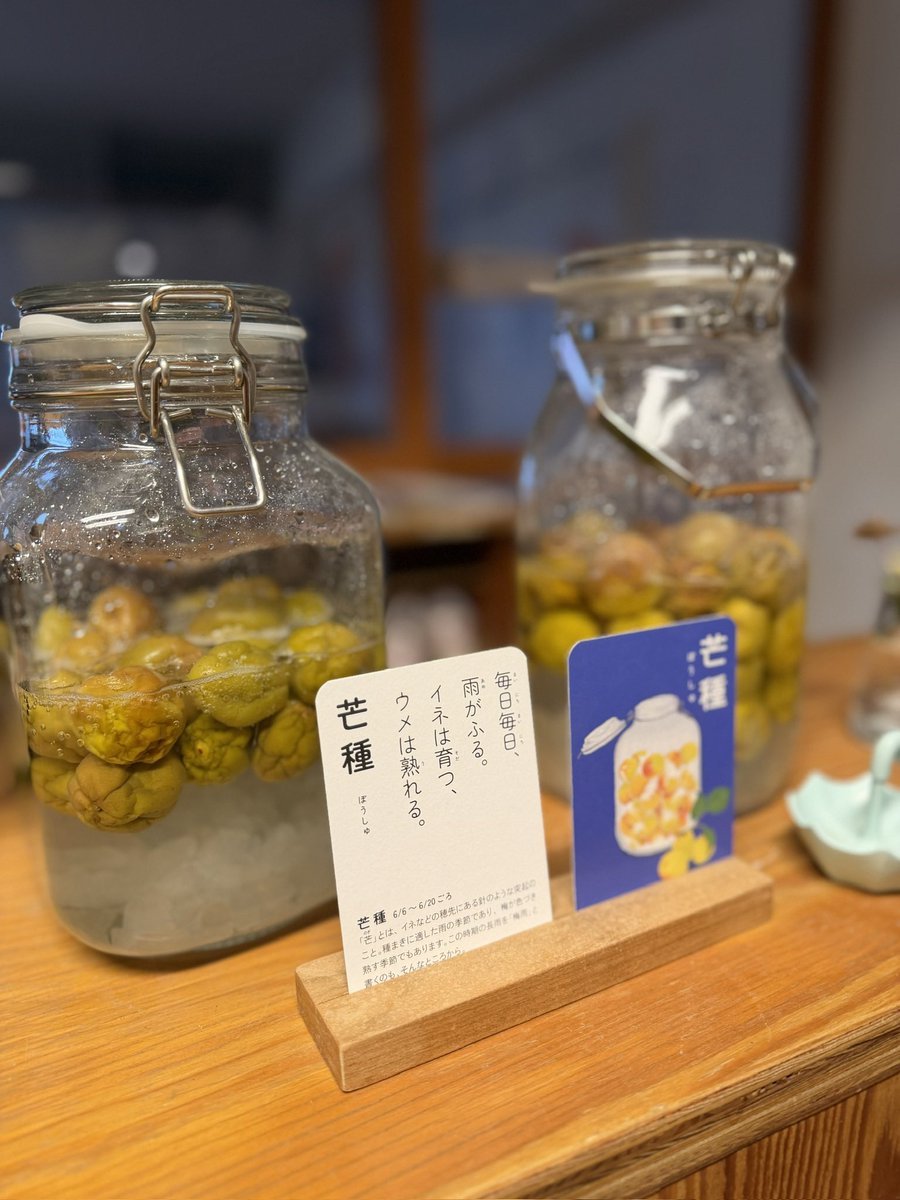 yuki_thanka's tweet photo. 流山の園の玄関

芒種も過ぎてしまったので、忘れないうちに

梅の瓶や、百合や、紫陽花

生きた季節のものが少しあるだけで、玄関の空気がやわらかくなる気がします

毎日通る場所だからこそ、
こういう小さな季節の気配を大事にしたいなと思っています。

それを各園でやってくれているのが嬉しい

#thanka 
#thanka保育園ながれやま