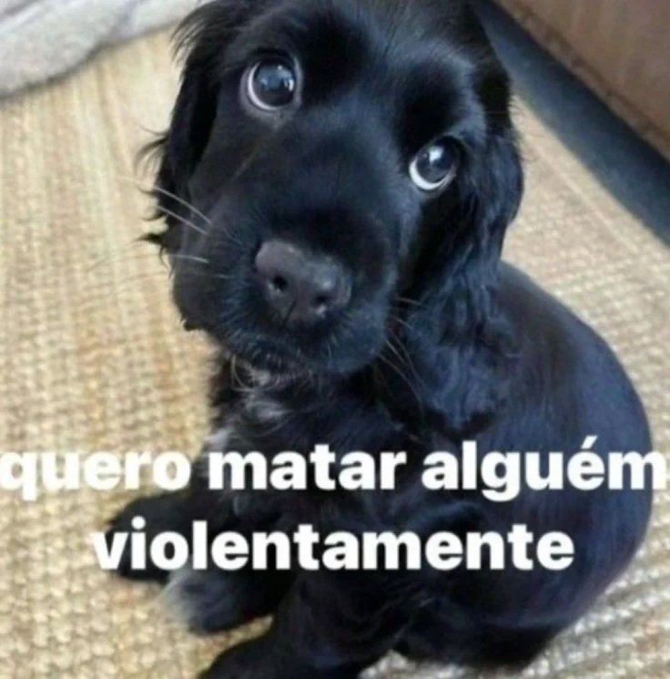 aeskzholic's tweet photo. quando vc vai ver a energia da sua semana mas ai o baralho vira pra vc e fala "chega de farra, aquiete seu cu ai" https://t.co/pPvv1ZmWTD