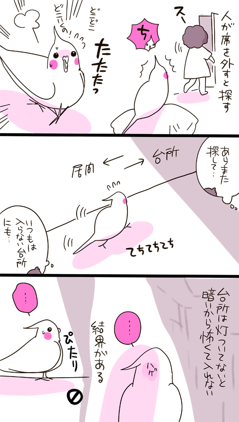 dollchka's tweet photo. あわびちゃんは家族を仲間で群れの一員、自分は群れのボスと思ってる
姿が見えないとすごい探すし、いないと呼び鳴きして食べなくなる
なんちう優しい生き物だろうかと思う。小鳥は愛しく切ない…愛でみちみちなの、あのボディ https://t.co/cc97S7dIMB