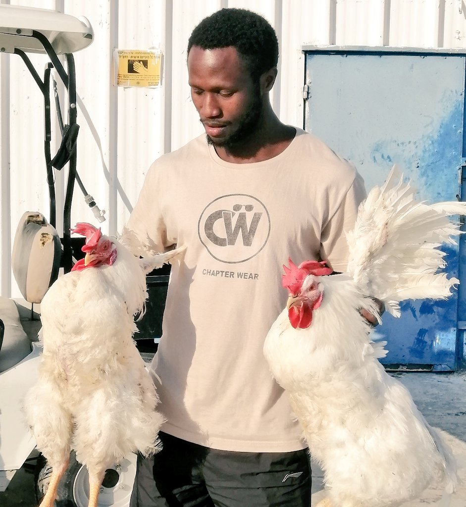 RukundoSamue's tweet photo. Not every season will be easy. Prices change, weather changes, pests come, and some plans fail.
But farmers who keep learning, improving management, and treating the farm like a business usually build stronger enterprises over time.
#sustainable_agriculture. #trust_the_process. https://t.co/X8TEJSiIAc