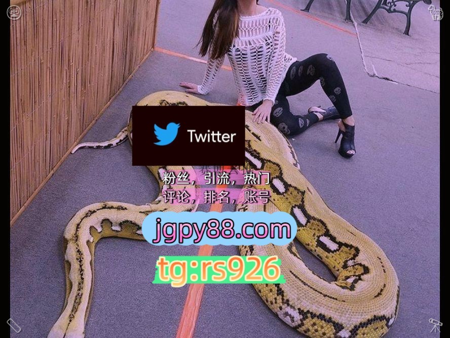 chartnavitas's tweet photo. 🦪排名号
推特热门脚本💫
推特软件🌕点赞代发
上门🥇外
🦙江门账号🩰
围林默拿出笔记本认真记录，生怕遗漏🔧