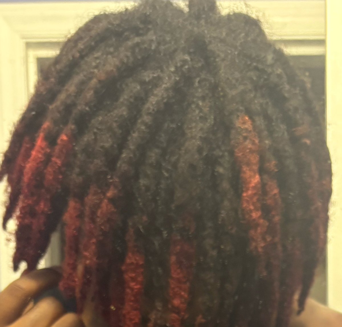 Wally_takes's tweet photo. can i give you some head while you play with my dreads #hmu #dl #trans #horny #freaks https://t.co/GJJJZrChbH