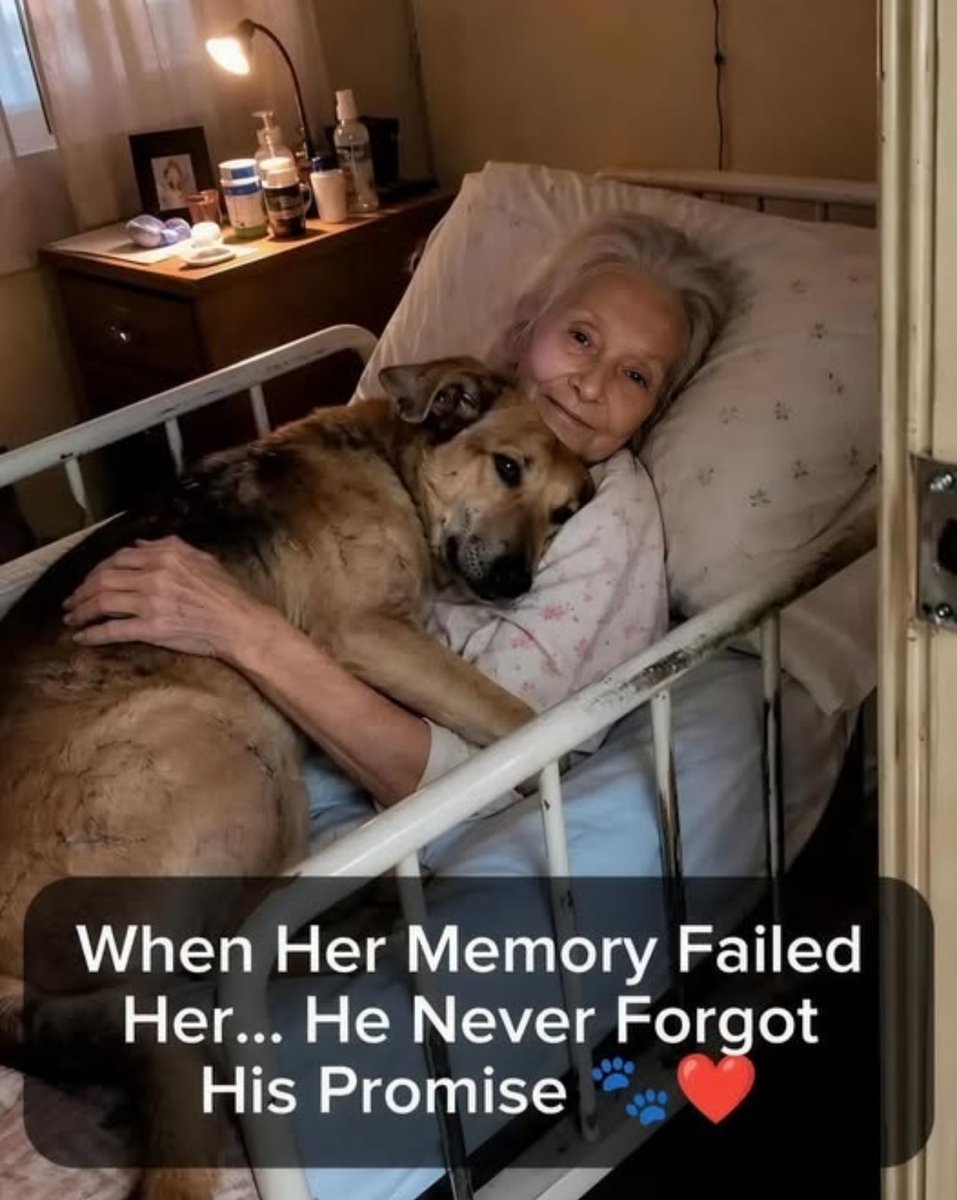 MalikAlyza's tweet photo. Her Loyal Dog Sheru made her one promise many years ago

No matter what happened he would never leave her side https://t.co/XDMH2J45Vr