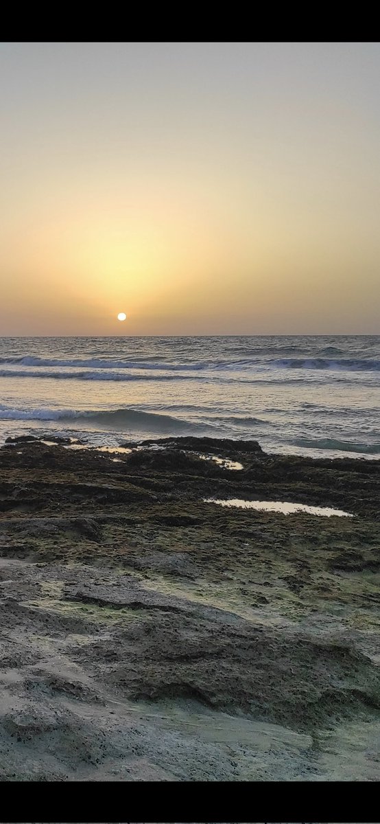 cplgl1's tweet photo. הכי כיף בים https://t.co/Zv6Aegy3Ic