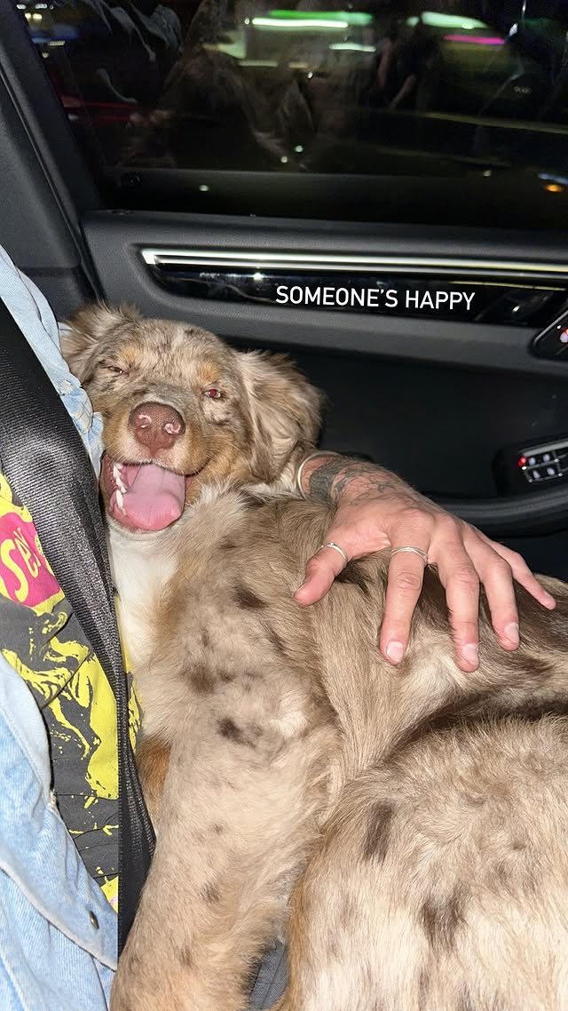 _camblackwell_'s tweet photo. from last night on the way home from fireworks. https://t.co/R0tAOI0ZN4