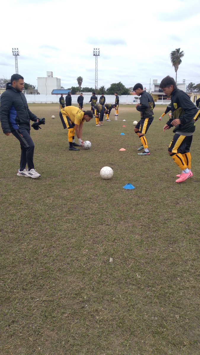 PrensaMatienzo's tweet photo. Equipo en el campo

Vamos Matienzo 💛🖤💛 https://t.co/R4z4fGIkZy