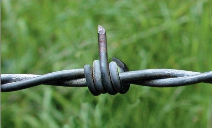 Hooli_Ganja's tweet photo. @Mathieu_Guihard https://t.co/6FOCtAdzyC