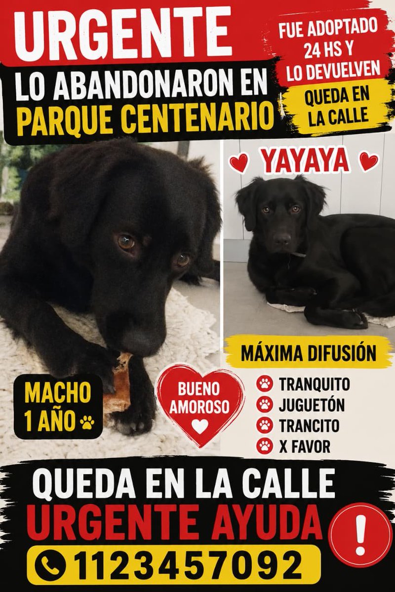 patripeyrou's tweet photo. Difundimos https://t.co/pTIgb4830A