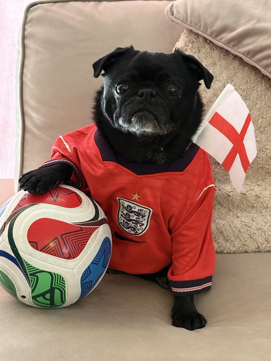 AJ_PBBee's tweet photo. @SkySportsNews  #ssnthreelions https://t.co/WfnNLIubdR