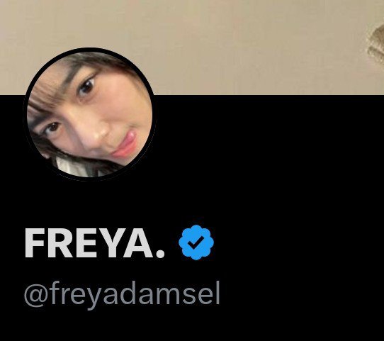 FREYA. tweet media