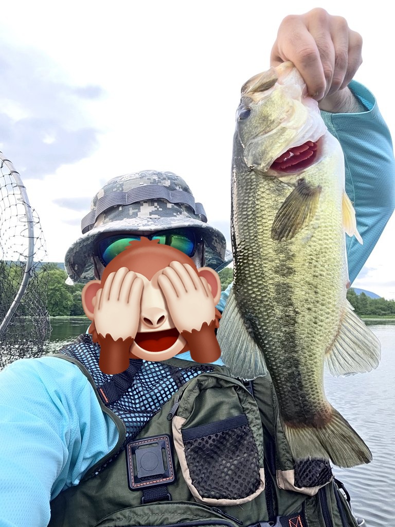 wrckDnRck's tweet photo. 本当に全部別の魚だから信じて!
ヘビーカバーには、ウィードレスのSENKOと シャロークランク
20 for 27 Largemouth Bass in dense weeds.

#釣り
#fishing https://t.co/F9JWb3VNgf