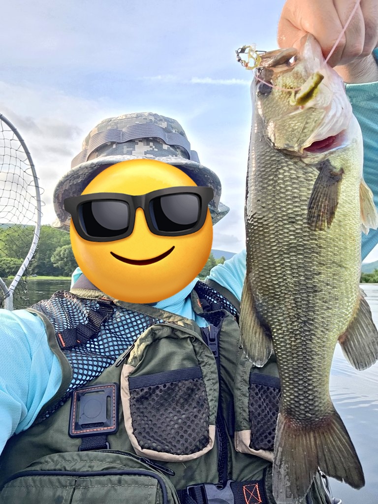 wrckDnRck's tweet photo. 本当に全部別の魚だから信じて!
ヘビーカバーには、ウィードレスのSENKOと シャロークランク
20 for 27 Largemouth Bass in dense weeds.

#釣り
#fishing https://t.co/F9JWb3VNgf