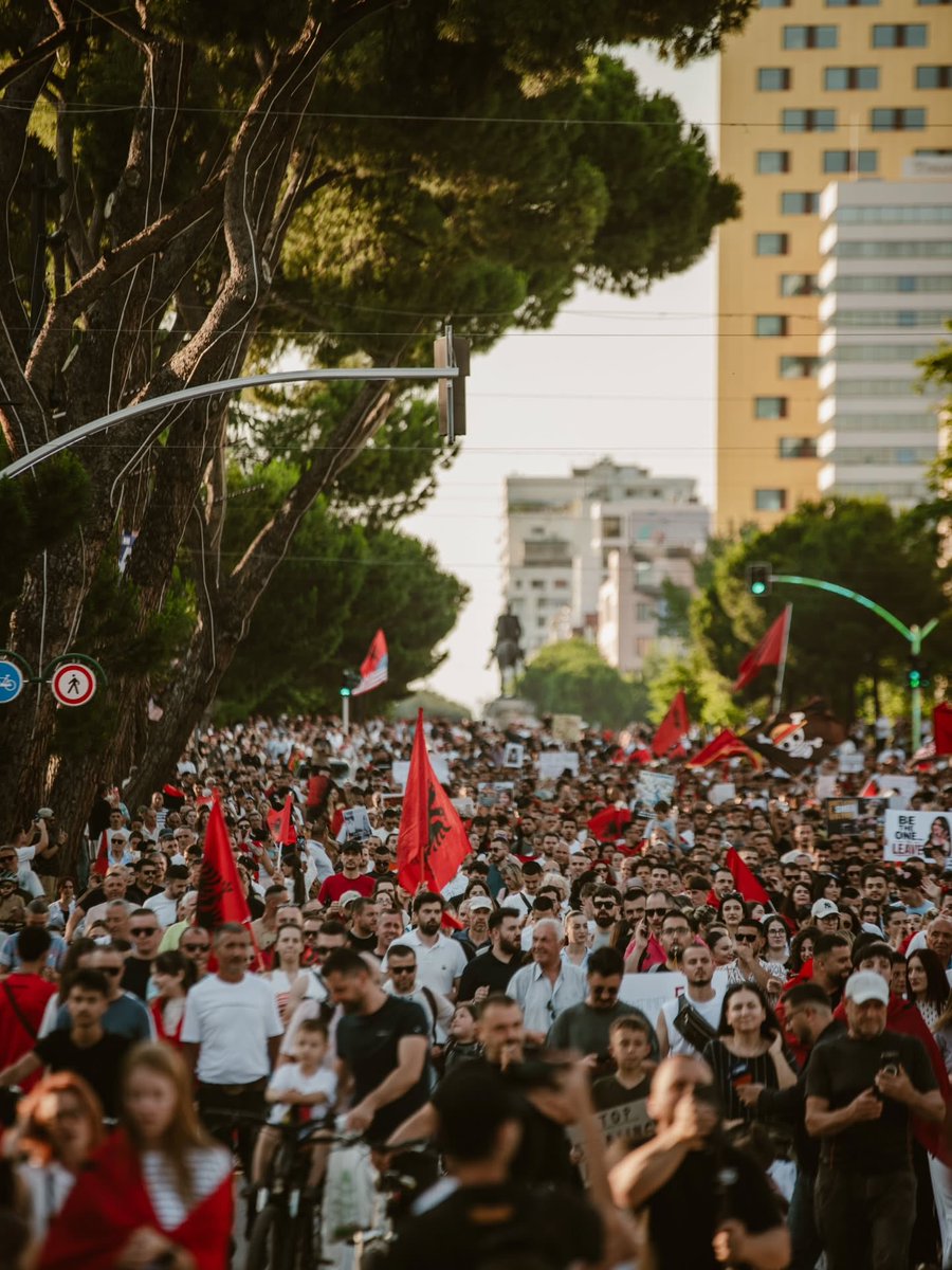 biletaeth's tweet photo. If @blknoiz06 airdrops me $ANSEM 
I’ll go in the middle of Flamingo Protest in Albania and onboard https://t.co/TUSI6k2B9K