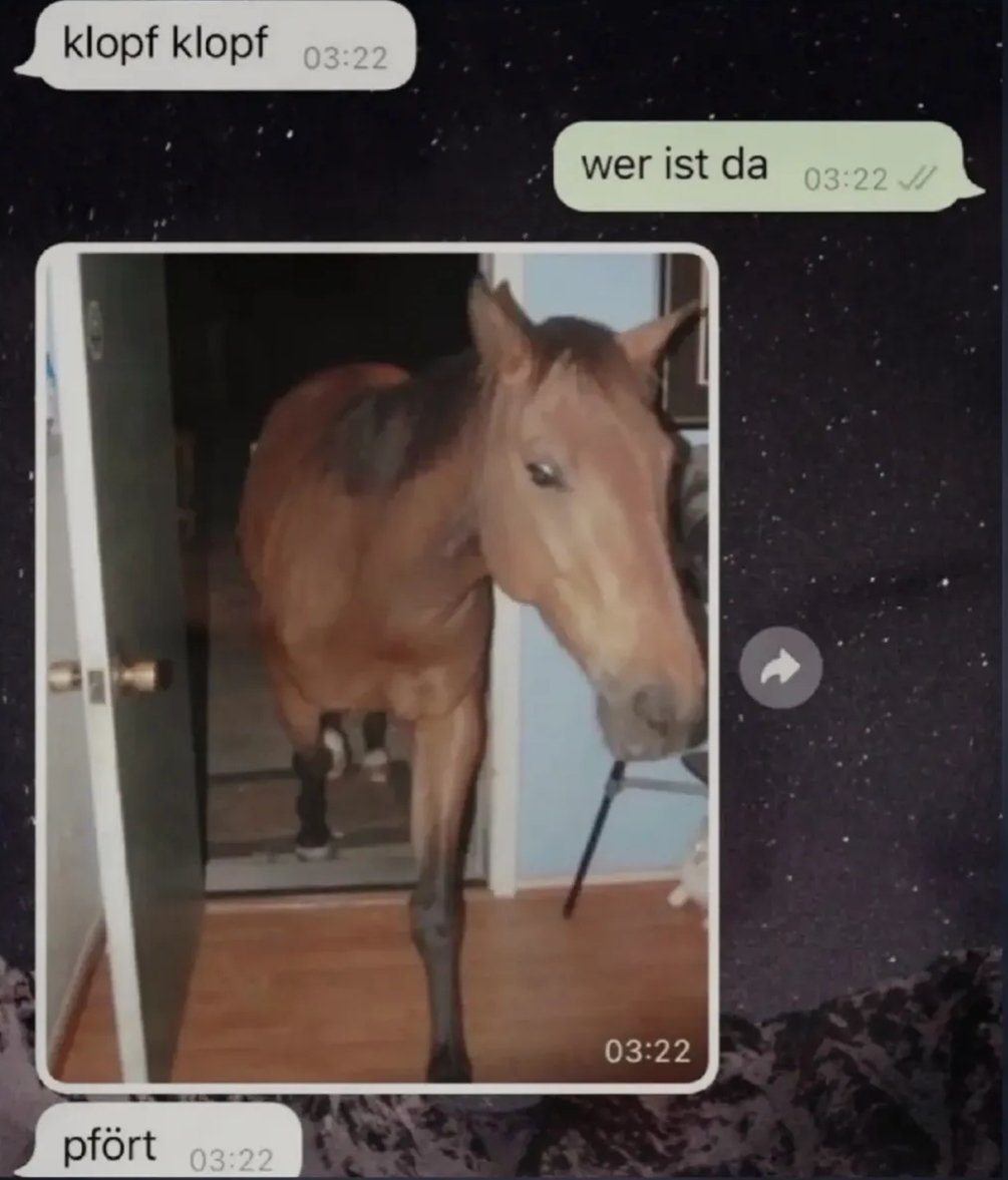 horse tweet media