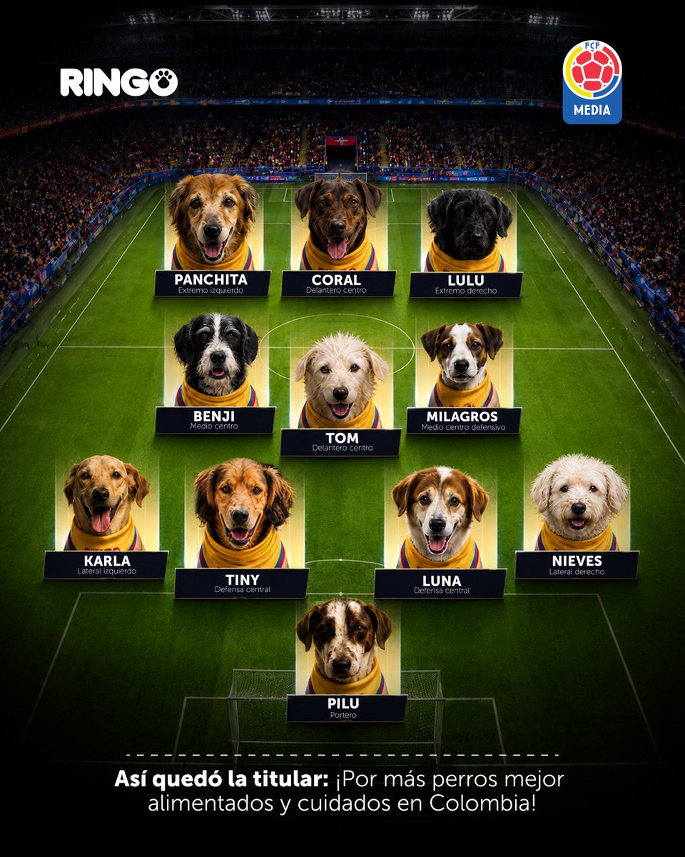 FCFSeleccionCol's tweet photo. ¡Un equipo campeón juega con el corazón! ❤️⚽
Estos 11 cracks saltan a la cancha con una misión: recuperar su vitalidad y prepararse para encontrar un futuro hogar. Con el #EfectoRingo, reciben alimentación, cuidado y mucho amor.
@EfectoRingo #EquipoRingo https://t.co/OcxHEzkZVq