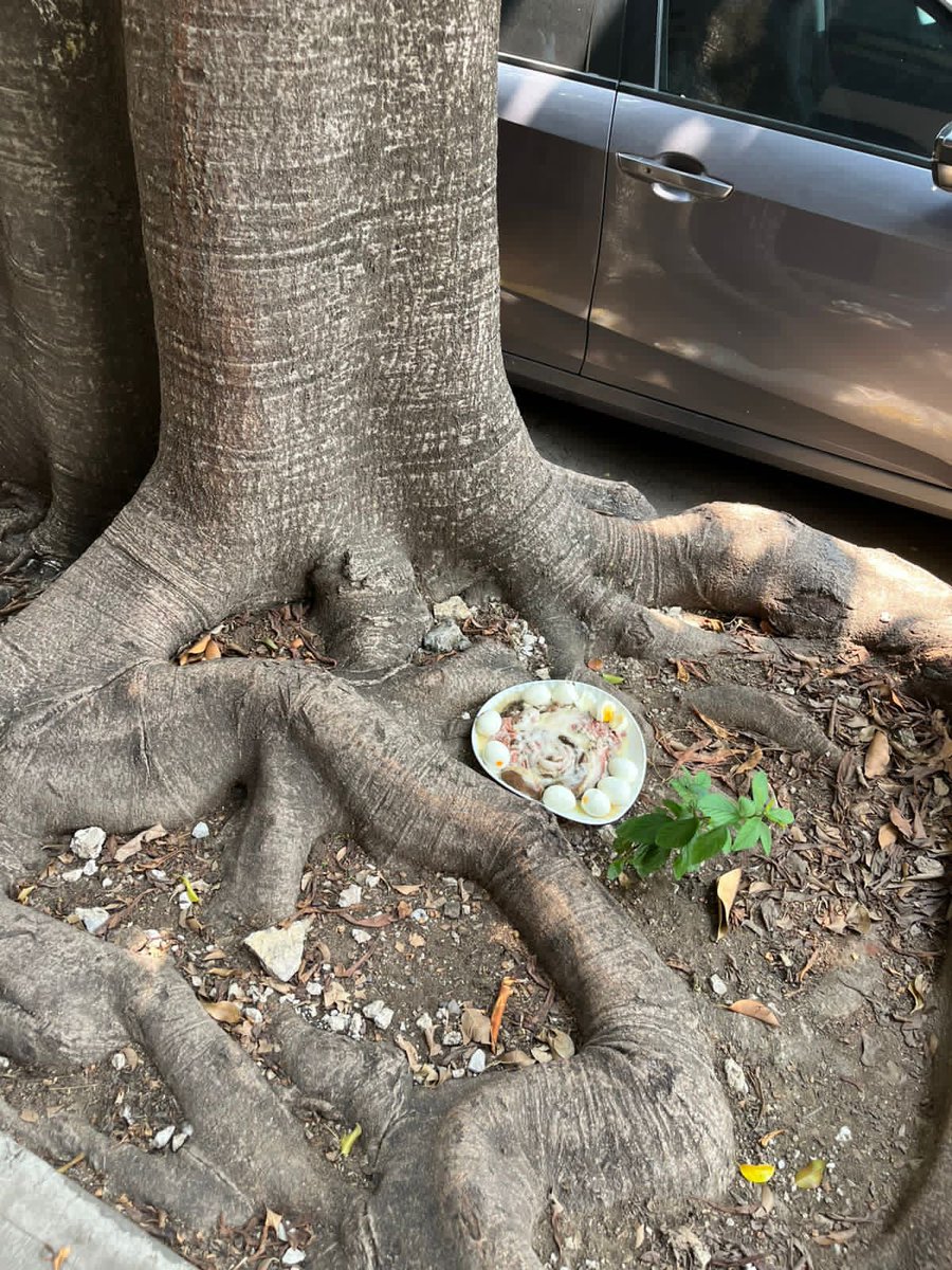 gbaezbelmares's tweet photo. Alcalde @LuisMendozaBJ en la calle de Saratoga 802 esquina Republicas colonia portales sur se encuentra esto, las y los vecinos pensamos que puede ser veneno para perros o gatos, pueden hacer algo? Se los agradeceremos mucho.
@SolucionesBJ @BJAlcaldia https://t.co/gq3p8sRxLN