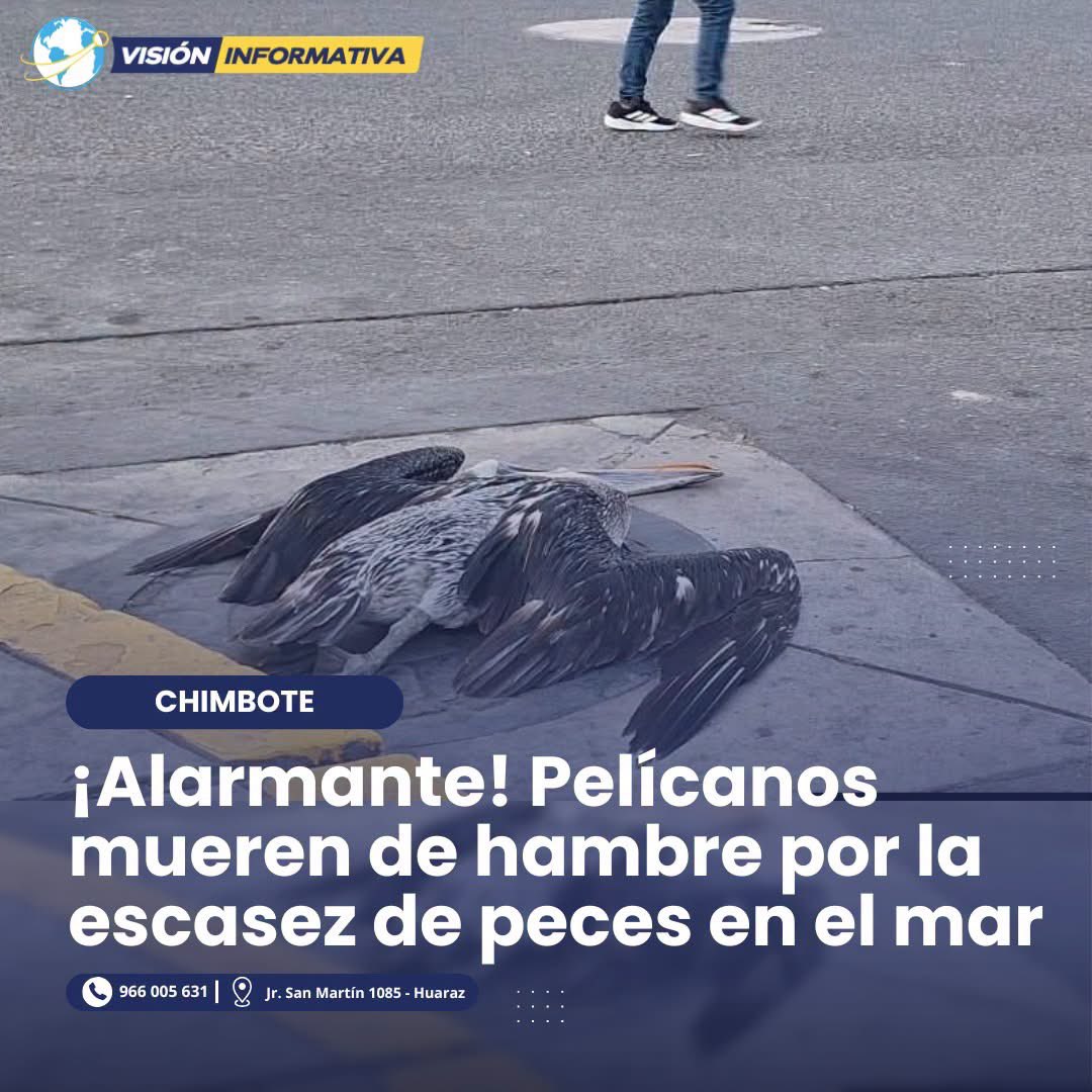 wandav2827's tweet photo. El fujimorismo no puede decir que le importa el Perú! 🇵🇪 

En las manos del congreso estaba la ley que prohibía la pesca industrial de China. 

Pero se fueron aprobando bonos, aumentos de sueldo y dejaron de lado Paracas. @KeikoFujimori con qué cara puedes gobernar ? https://t.co/lZDThVfpUI