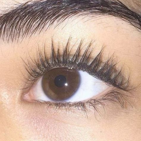 Bllury's tweet photo. MANIFESTING https://t.co/jp9ZoWUH9k