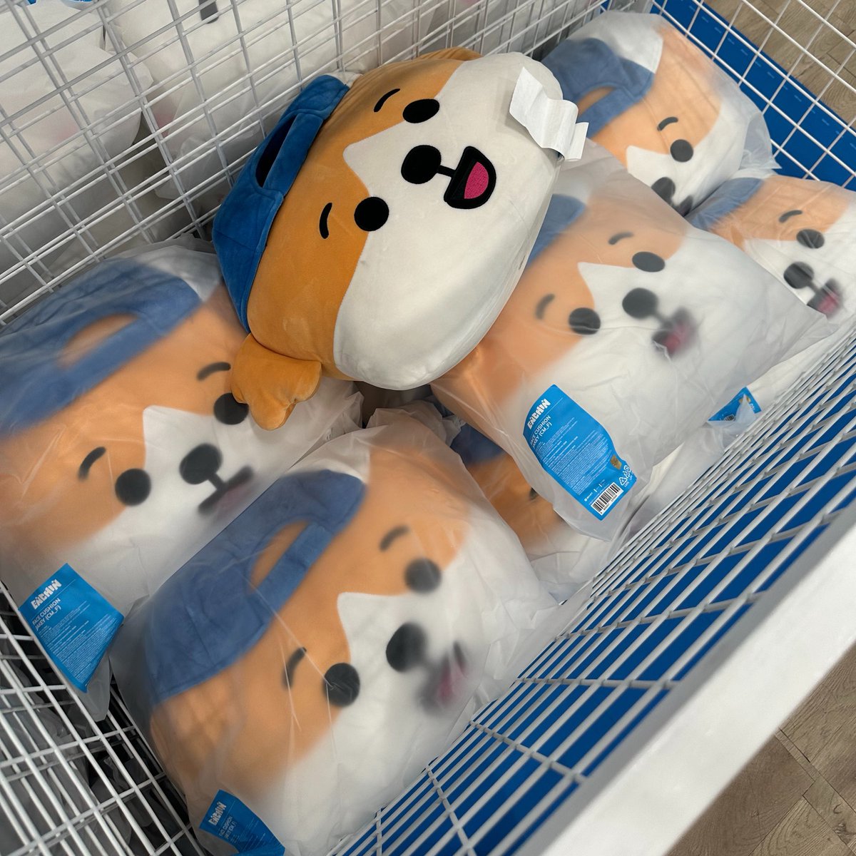 ikeucarteu's tweet photo. jakey face cushion, sorry pero next time ka na kapag may trabaho na ko 😭 https://t.co/I0GiytszSx