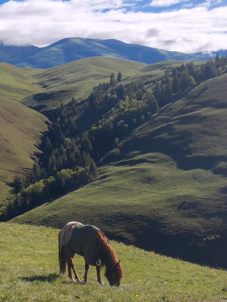 jameshaibin23's tweet photo. 🎆🐎🍃☘️🌿💖ENJOYABLENIGHT💝🌿🍀🍃🐎🎇 https://t.co/qXtsRTzzlC