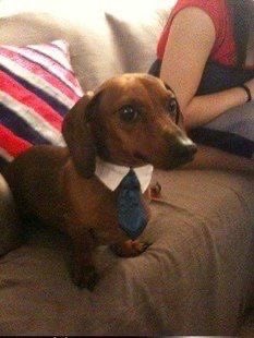 twaniimals's tweet photo. https://t.co/1wu25VAoU8