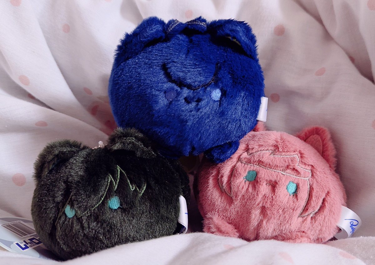 ちむ (@4tim__) / Posts / X