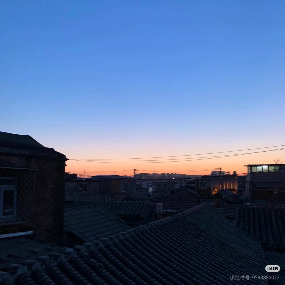ella_williams8's tweet photo. Stay focused on your goals.Success is a journey.Never lose your fire.
生活是一场自我较量，赢过懒惰就是成长，赢过犹豫就是进步。坚持自律坚持努力，每天超越自己，终会活成人生赢家。🦆🧕😷😓🗼 https://t.co/Pr0YmPSqgn