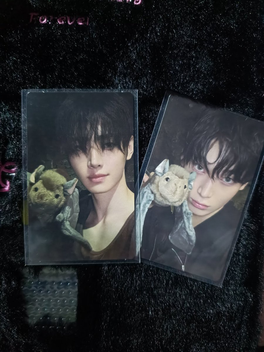 jjkeukeu's tweet photo. WTS LFB PH 
ENHYPEN's THE SIN: VANISH Sunghoon Sunoo 

• Price: ₱300ea (Set :₱520) 
• Condition: Mint/Clean condition (fresh pulls) 
• Availability: On-hand and ready to ship

#jjkeukeusellz https://t.co/qEozSqA1ar