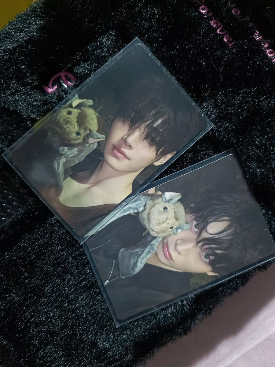 jjkeukeu's tweet photo. WTS LFB PH 
ENHYPEN's THE SIN: VANISH Sunghoon Sunoo 

• Price: ₱300ea (Set :₱520) 
• Condition: Mint/Clean condition (fresh pulls) 
• Availability: On-hand and ready to ship

#jjkeukeusellz https://t.co/qEozSqA1ar
