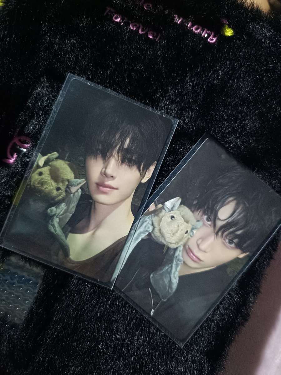 jjkeukeu's tweet photo. WTS LFB PH 
ENHYPEN's THE SIN: VANISH Sunghoon Sunoo 

• Price: ₱300ea (Set :₱520) 
• Condition: Mint/Clean condition (fresh pulls) 
• Availability: On-hand and ready to ship

#jjkeukeusellz https://t.co/qEozSqA1ar