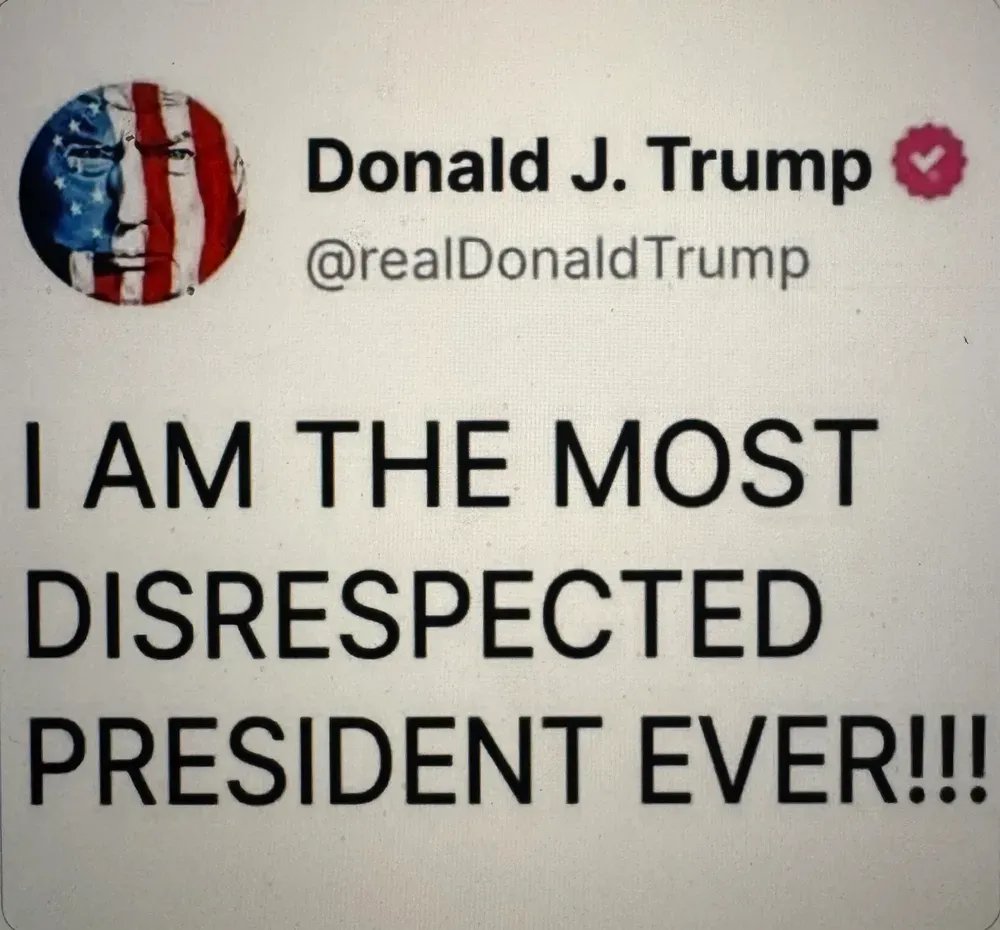 maddenifico's tweet photo. Arguably, one of the few things Trump has honestly earned in his entire adult life as a crook, bigot, sexual assaulter, and pedophile. https://t.co/zlVcf3tAh7