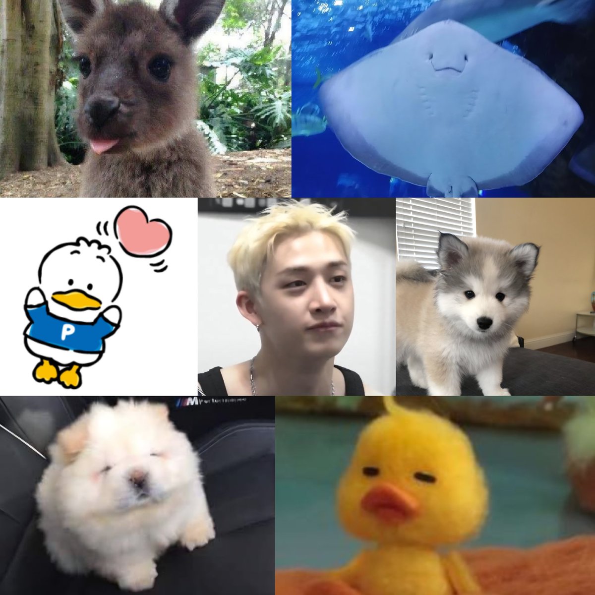 feelinstar_lost's tweet photo. ᵗⁱⁿʸ chan variants that make the most sense to me ^^ https://t.co/nga2k837P0