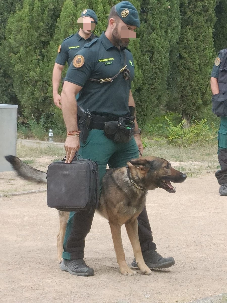 ApacheNina's tweet photo. Jornada Día del niño con el Grupo Cinológico.

Polillas ZGZ https://t.co/GP4pclNRZt