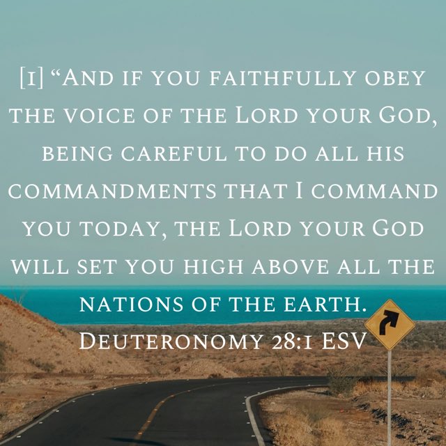 TCNYSupport's tweet photo. These Are The Bible Scriptures That Pastor Phil Cook Preached About In The Sermon Message “Learning To Live “Above““ In The Sermon Series “Ten Rules For Life” #TenRulesForLife #JesusIsLit 
#SundayChurchService | Sunday, July 05th, 2026 @_trinitynewyork &amp; @tcnysupport https://t.co/PbiJ2tZ4je