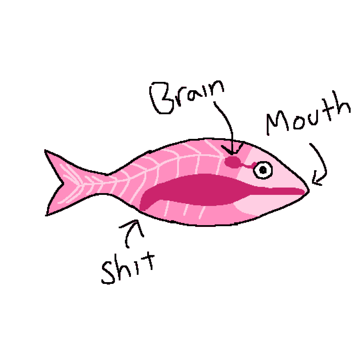 papayadesu's tweet photo. This is my entire understanding of fish anatomy after getting fish cutting videos in my shorts feed for a week https://t.co/mzvMQtH5N7