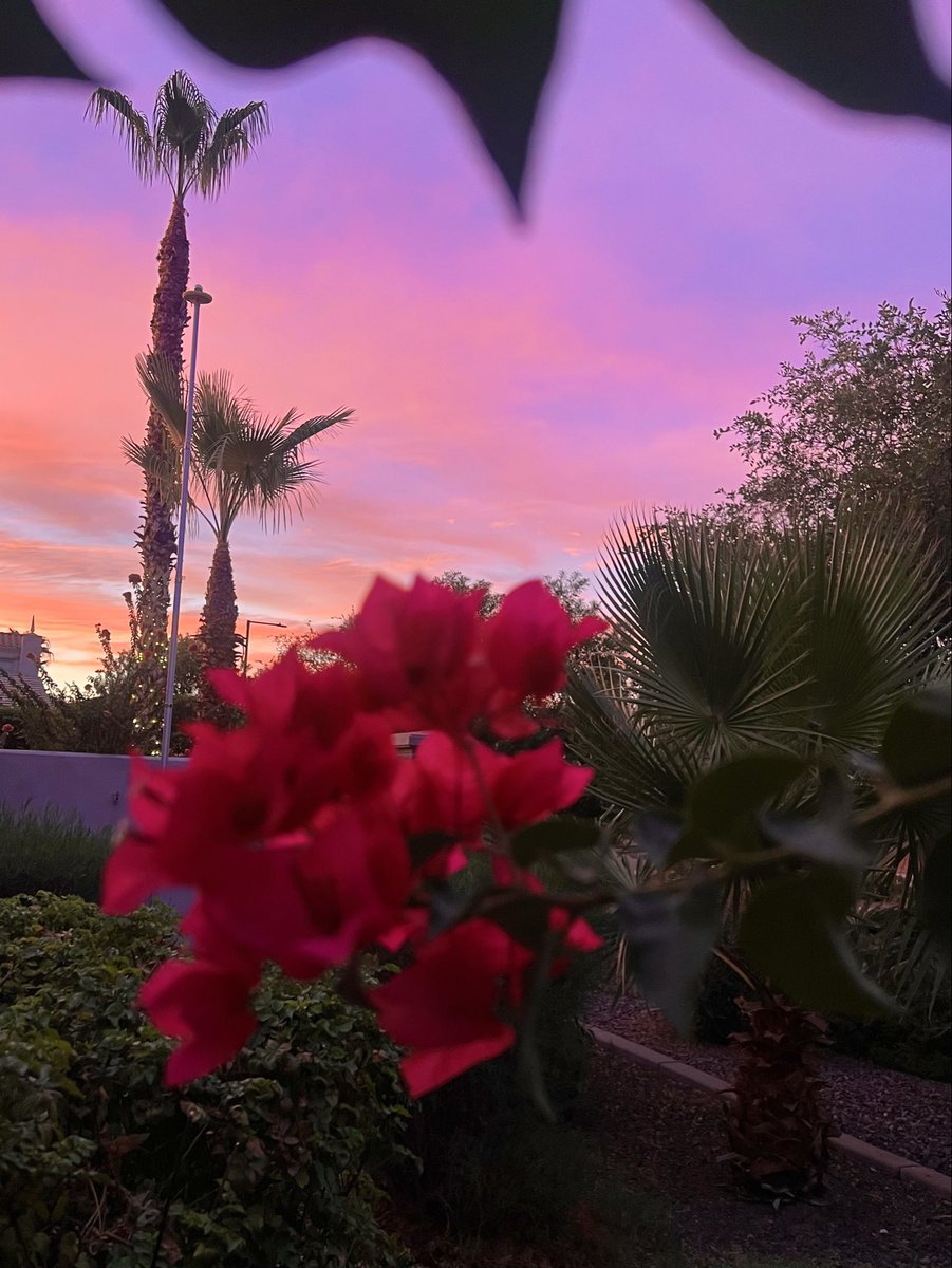 CatalinaCruz's tweet photo. Hope you had a relaxing weekend so far! I’m a Gigi to a new kitten now. Moments from the weekend. 🎆❤️ https://t.co/93Se5jOkJB
