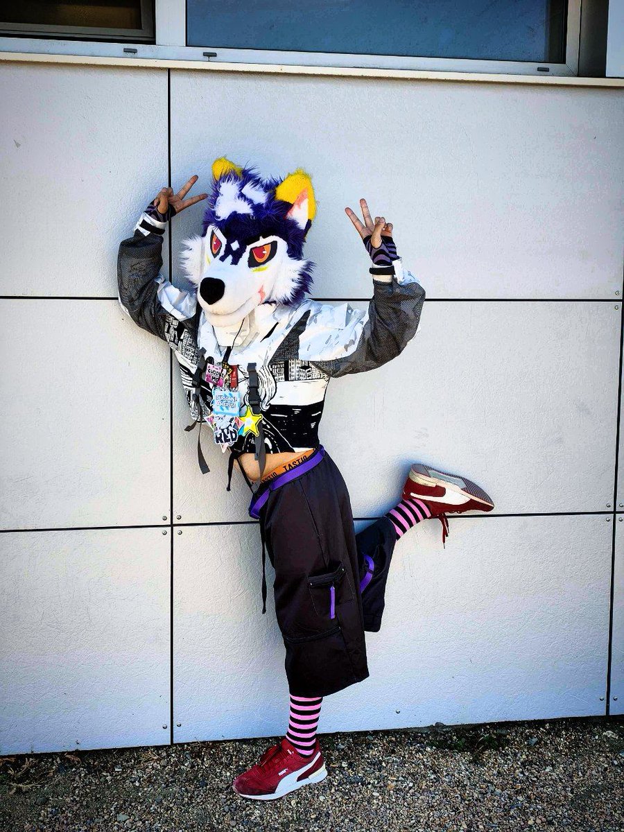 Red_trainer96's tweet photo. Always stay upbeat ✨️💜
#furry #JTF https://t.co/yW00ALHx2F