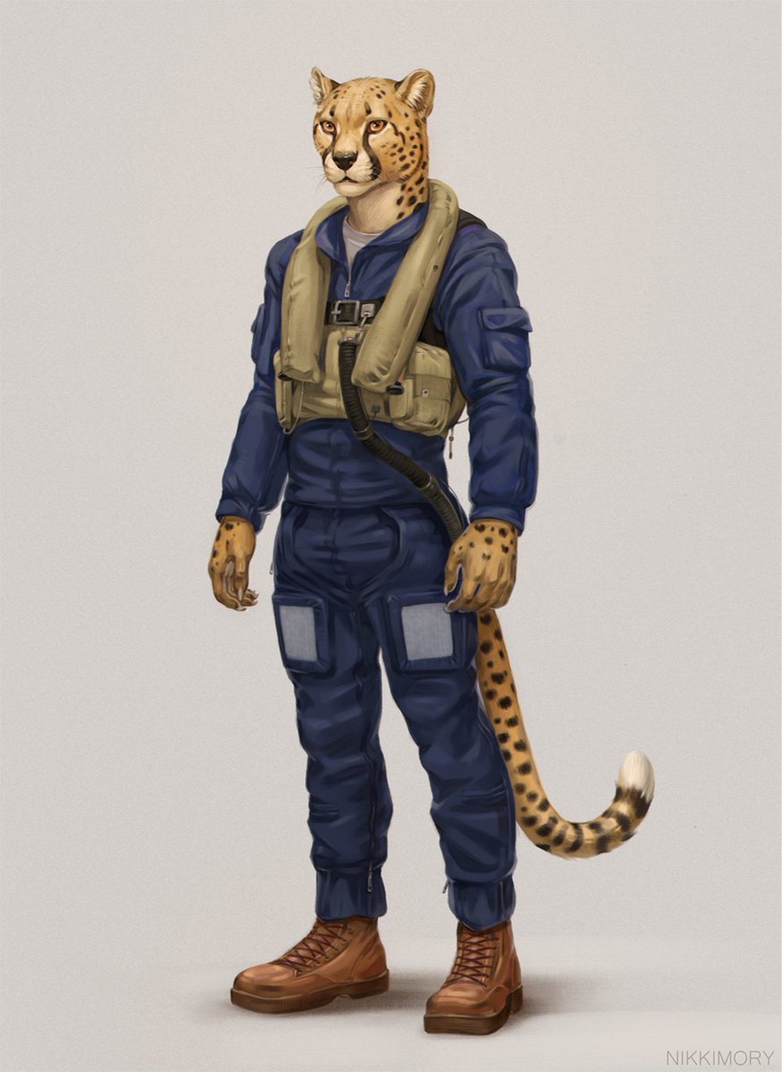 Lt_Hill tweet media