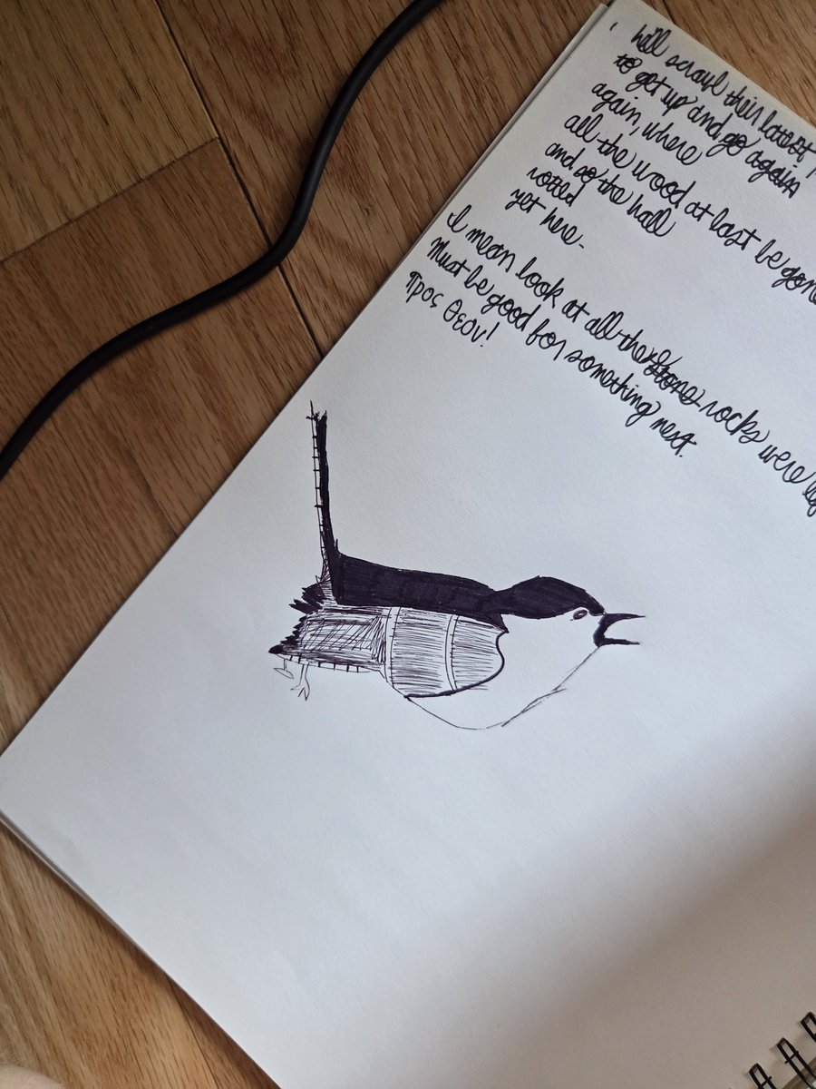 _Soup_65's tweet photo. writin words, drawin birds https://t.co/GJEjcYkNpv