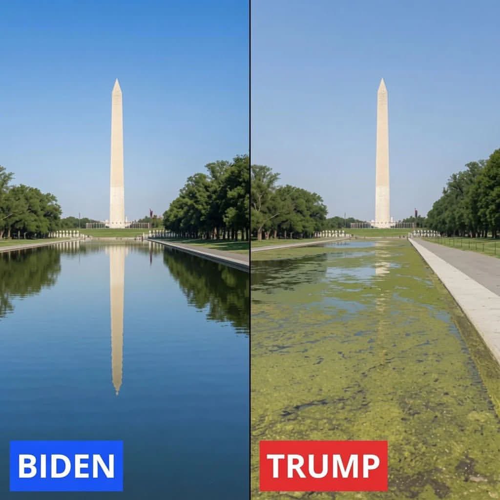 MiislanderX🇺🇸💙🦅🌊 tweet media