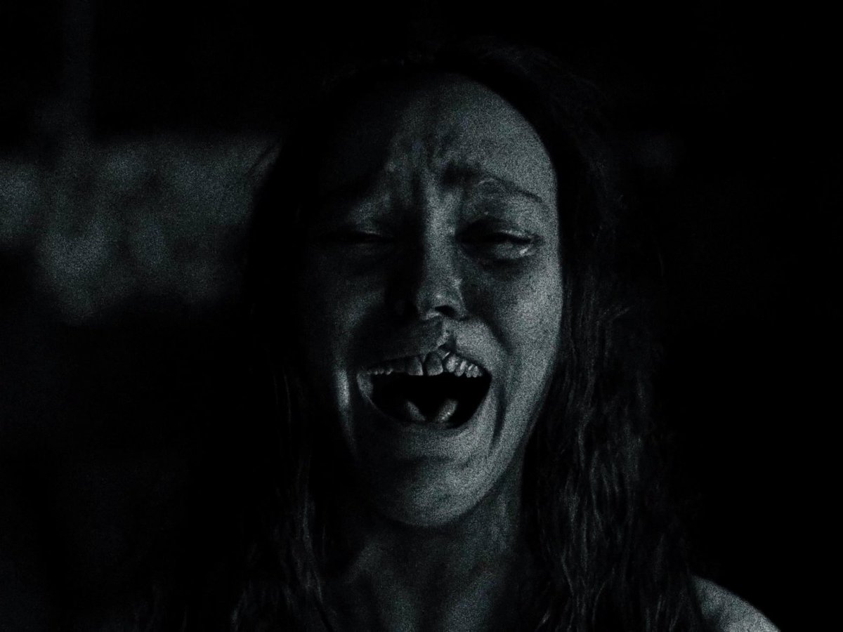 gothicfilms's tweet photo. only a few more months until werwulf https://t.co/kfB2IOGou8