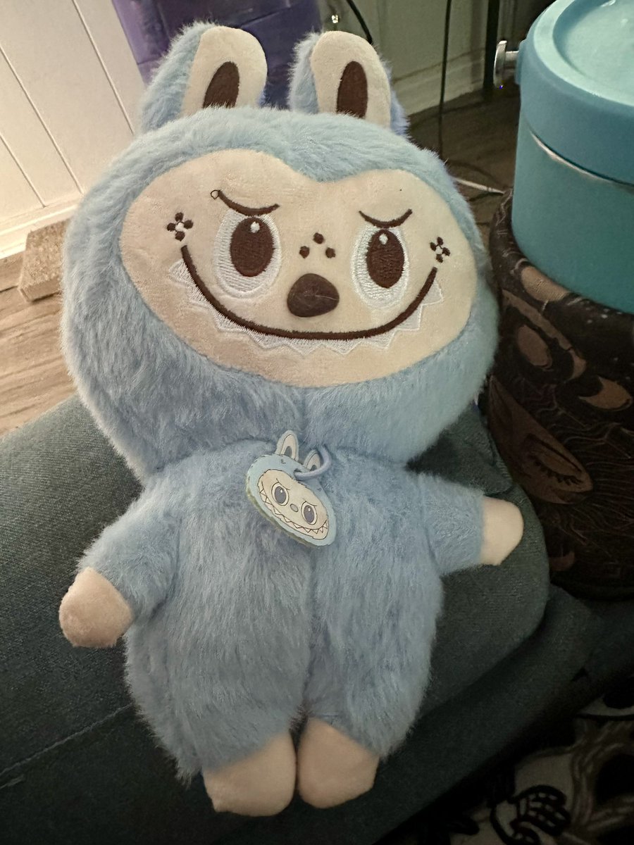 trans_kota's tweet photo. Recent #stuffie #stuffedanimals #haul from the #thriftshop #thriftstore #labubu #buildabear #cute #happyplace #happy https://t.co/SW10Uk1qPS