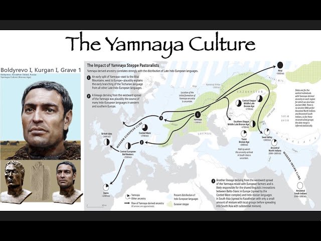 DrewPavlou's tweet photo. America was founded 5,000 years ago when the Yamnaya culture moved down into Europe off the steppe https://t.co/vfJVjPvylE