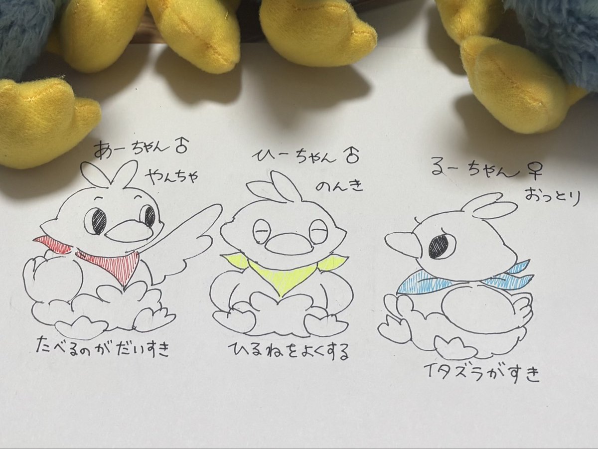 aopajaro's tweet photo. うちのコアルヒー3匹に性格と個性をつけてみました👏そのうちバンダナをつけてあげたい🩵🩵🩵 https://t.co/QmQrxBrMPU