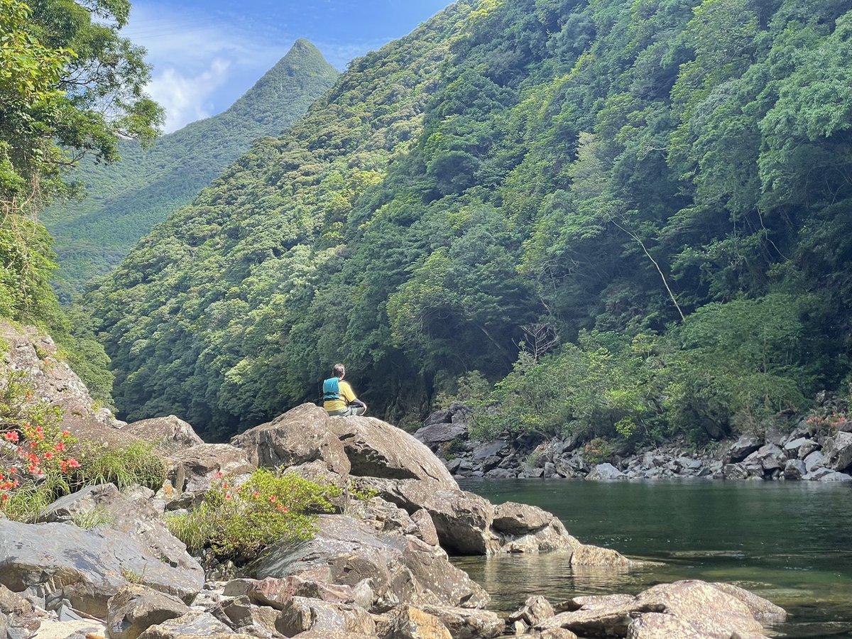 sasa_ken's tweet photo. 太陽が昇ってまもない安房川を漕ぐと、山からの風が降りてくる。ひんやりした風が心地良い。

潮が次第に満ちていくのに呼応するように、川の上流へと漕ぐ。川の中洲まで漕いで、朝食を作る。

旅人が「瞑想的な時間ですね」

と一言。

#屋久島　
#早朝リバーカヤック　
#巡り葉
#夏休み
#梅雨明け https://t.co/Z7A89fgEuV