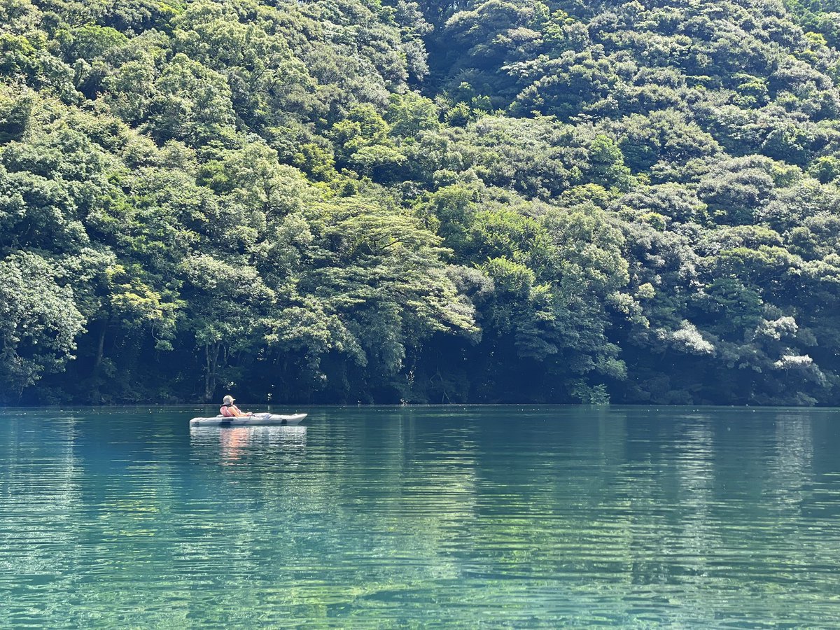 sasa_ken's tweet photo. 太陽が昇ってまもない安房川を漕ぐと、山からの風が降りてくる。ひんやりした風が心地良い。

潮が次第に満ちていくのに呼応するように、川の上流へと漕ぐ。川の中洲まで漕いで、朝食を作る。

旅人が「瞑想的な時間ですね」

と一言。

#屋久島　
#早朝リバーカヤック　
#巡り葉
#夏休み
#梅雨明け https://t.co/Z7A89fgEuV