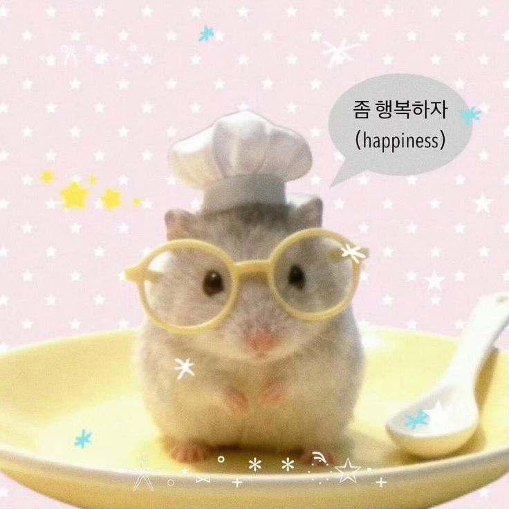 hamstrkcals's tweet photo. https://t.co/Pxs6cdkY8S