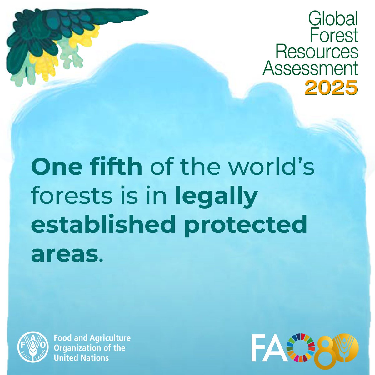 FAOForestry's tweet photo. The area of forest in legally established protected areas worldwide is estimated at 813 million hectares, which is about 20% of the total forest area.

Get more data on the world’s forests in @FAO’s Global Forest Resources Assessment 2025 👉 https://t.co/iArtixHde6

#FRA2025 https://t.co/zdT1T65DUm
