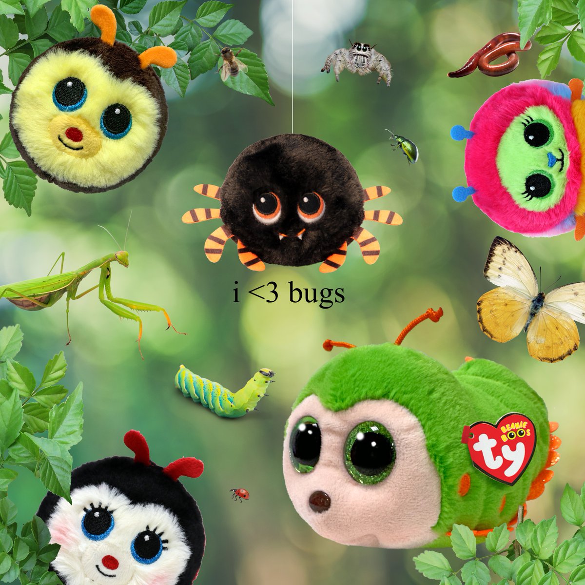 TyInc's tweet photo. bug appreciation post 🐛 love the unloved ❤️ https://t.co/W1cvxrJCj7