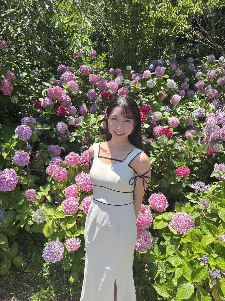 miyanishihikaru's tweet photo. 今年も綺麗な紫陽花みてきた💙💜 https://t.co/K52uGCpQrj